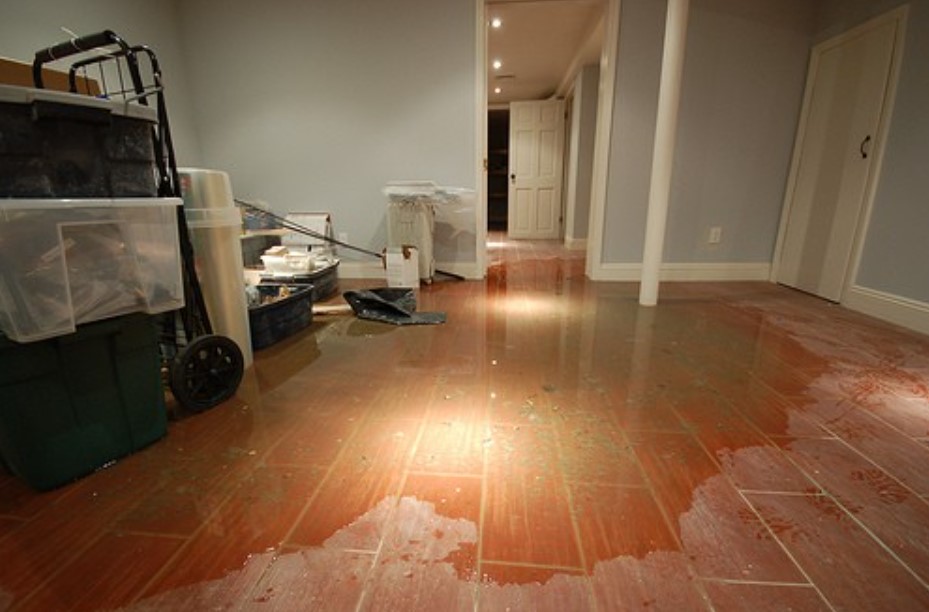Signs of Home Water Damage