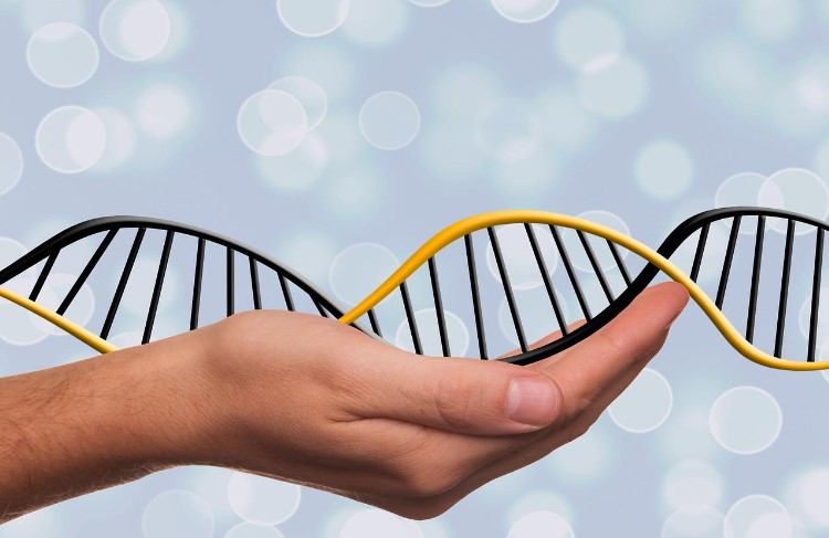 Test your DNA without leaving home Test your DNA without leaving home